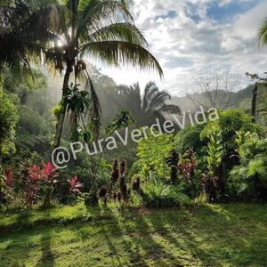 Land with 3 houses only 800 meters from beach!