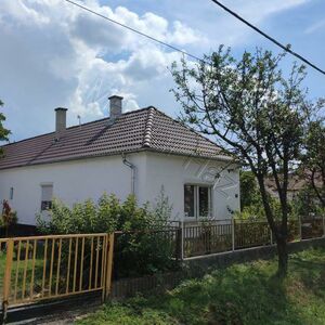Completely and completely renovated house