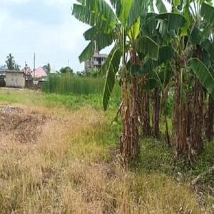 1.71 Acre of Land with old school structure for sale