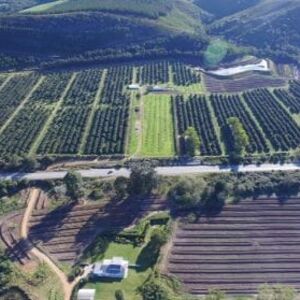 Macadamia Nut Farm for sale in Tsitsikamma South Africa