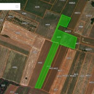 Land 115 ares Mladenovac, Koracica-Serbia