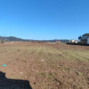 Building land with 6,830m2 in MArinhas/Esposende (2912)