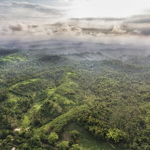 290 acres of beautiful land in the north of Ecuador