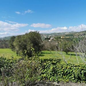 House and land in Sicily - Veronique Cda Zaccurafa