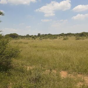 11hectares farm for sale in Mmamashia 