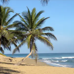 Beachfront Commercial Land (For Sell by Owner)