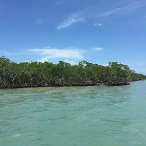 35 Acres of Beautiful Island Property on the Caribbean Sea