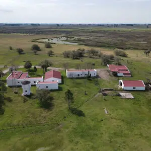 Farmland for sale in Uruguay