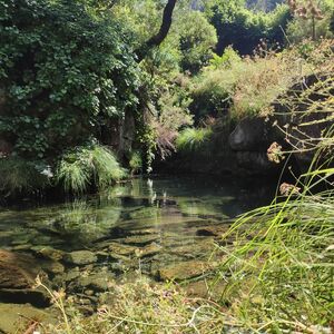 PD0103 – QUINTA DO ARCO