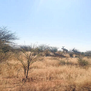 5.9ha Vacant Land for sale in Erongo Park, Omaruru, Namibia 