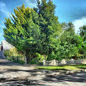 Endless Possibilities (South Africa) - an Investor's dream 