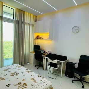 Fully furnished 1BR ,zabeel park - Dubai Frame View