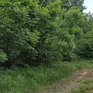 SOLD - Opportunity for self-sustainability