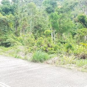 Land For Sale In Guillet (Near Portsmouth)