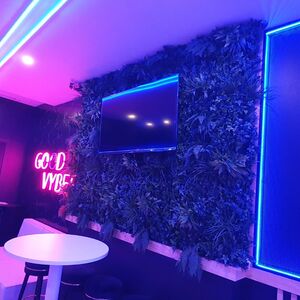 Magnificent Bar to Open - NEGOTIABLE