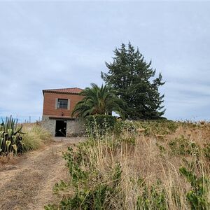 Countryhouse with winery and 1000 vines/Extremadura/Trujillo