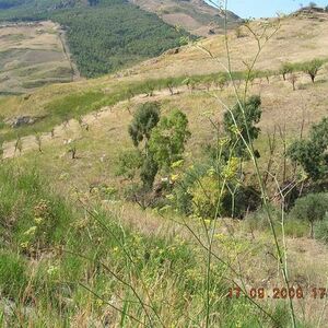 Panoramic land in Sicily - Finn Cda Feotto