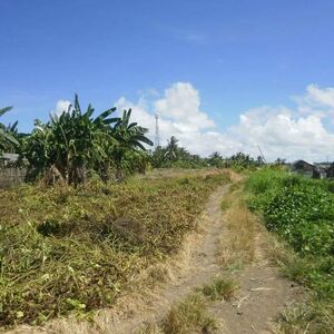 500 sq. meters LOT for sale in Barangay Cogon .Roxas City. 