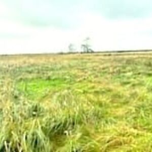 Distress Sale: Fenced Plot in Rusko, ul. Malinowa – Peaceful