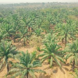 PalmRich Estate Phase 5