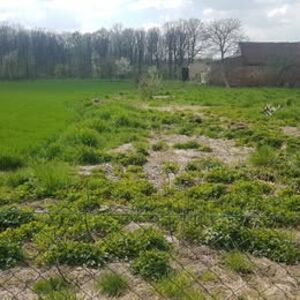 Building plot Puszyna [village]