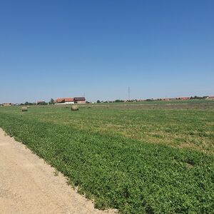 Batajnica/Busije land for sale