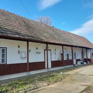 House in House in Szakály, Tolna, Tolna