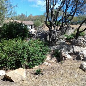 Sardinia: GREEN AGRARIAN RETREAT FOR SALE