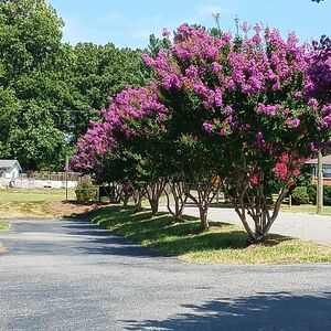 Beautiful brick townhome in in the quaint small town of Newt