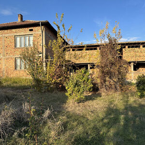 Property in the town of Dunavtsi, near the town of Vidin