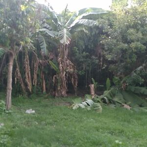 Residential Lot for Sale- San Pablo City,Laguna,Philippines