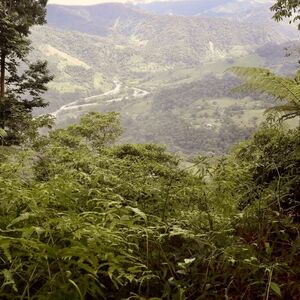 Eco-Paradise in Costa Rica for Sale! 🌿