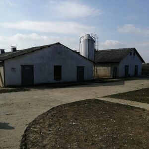 Farm 3000m2 on 1.5ha-Banatski Brestovac