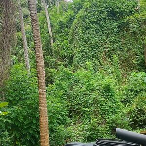 Amazing Mixed Crop Land