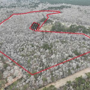 #2 • +/- 85 ACRES AYDELL LN FRENCH SETTLEMENT, LA