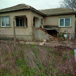 Property in the Shabla municipality. Dobrich 