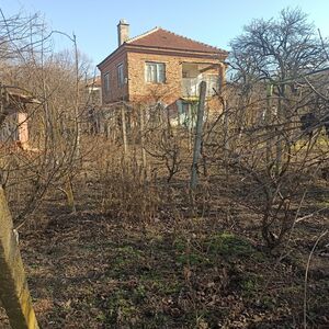 village of Zlatiya, municipality of Valchedram, Montana 