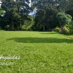FOR SALE- Large and beautiful lot in San Isidro, Heredia