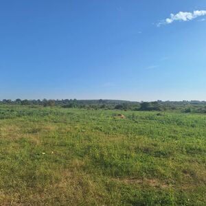 Juicy Agricultural Farmland For Sale In Uganda Luwero