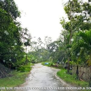Land for Sale in Trinidad