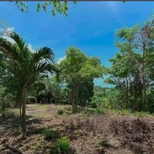 Prime Land For Sale, Loboc Bohol, Philipines