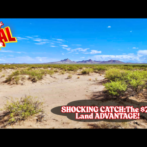 Hidden Catch in 1.06 Acres for JUST $75/down - Grab it Now