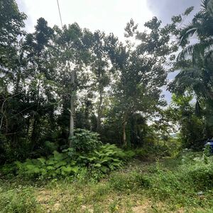 Residential/Commercial Land For Sale, Loboc, Bohol