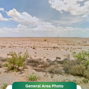 1.04 Acres for $110/Mo – Family-Friendly Land