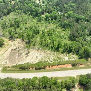 21 +/- Acres for Auction! Amite, Louisiana