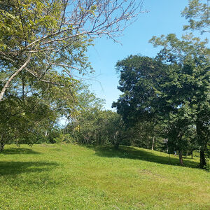 Amazing lots for sale: your paradise in Montezuma Costa Rica
