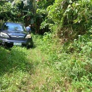 6618m² RESIDENTIAL FARM LOT, LIPA, BATANGAS, PHILIPPINES