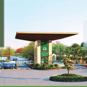 M2K Olive Green 9910323521 Sector 104 Gurugram