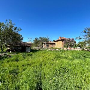 Cheap house 20 min to the sea and Durankulak