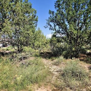 Beautiful property 30 minutes from Sedona, Arizona